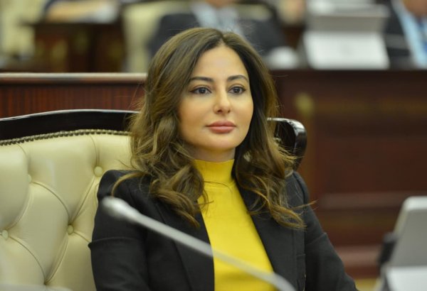 Azərbaycanın qələbəsi mənəviyyatın, hüququn qələbəsidir
