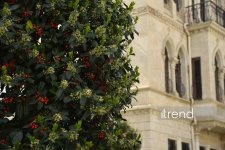 Bakının ən köhnə küçələrindən biri piyadalaşdırıldı (FOTO)