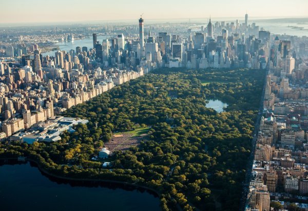 Dünya azərbaycanlıları Nyu-York merinə müraciət ediblər (FOTO)