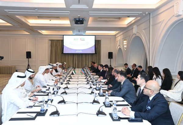 Azərbaycan-BƏƏ Hərtərəfli Strateji Tərəfdaşlıq üzrə Əməkdaşlıq Komitəsinin ikinci iclası keçirilib (FOTO)
