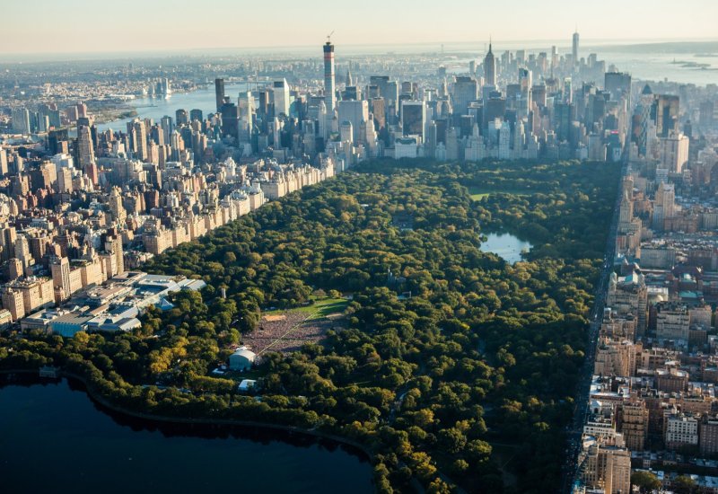 Dünya azərbaycanlıları Nyu-York merinə müraciət ediblər (FOTO)