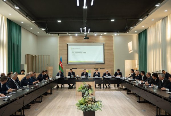 Qeyri-filiz faydalı qazıntı yataqlarının istismarı ilə bağlı İşçi Qrupunun ilk iclası keçirilib (FOTO)