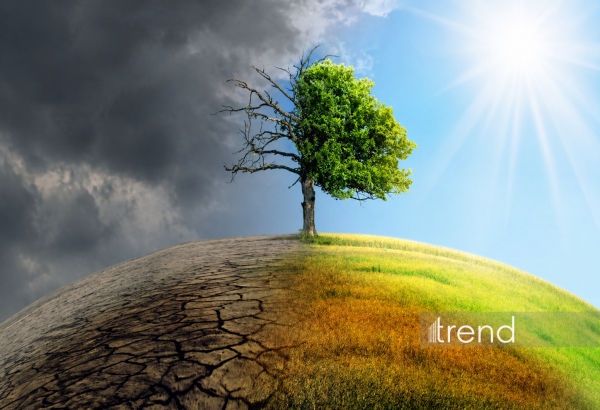 İqlim haqqında yeni qanun hazırlanır: Qurumlararası İşçi Qrupu yaradılacaq