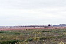 “TurAz Qartalı - 2026” birgə taktiki-uçuş təlimi davam edir (VİDEO)