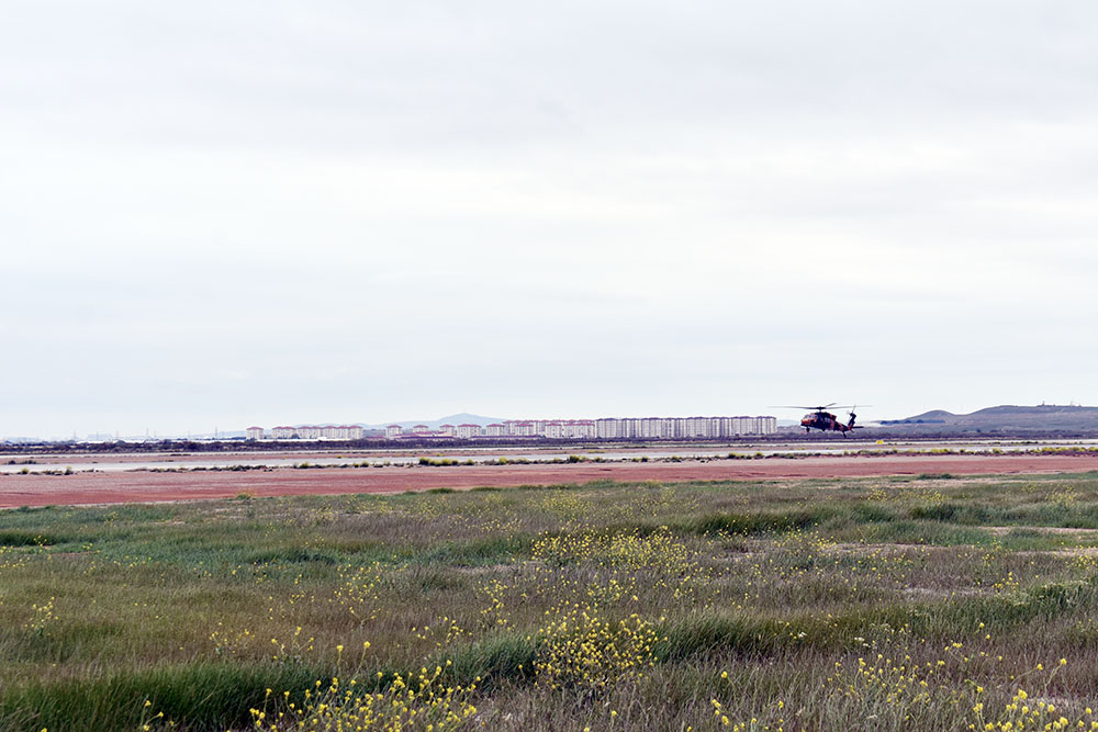 “TurAz Qartalı - 2026” birgə taktiki-uçuş təlimi davam edir (VİDEO)