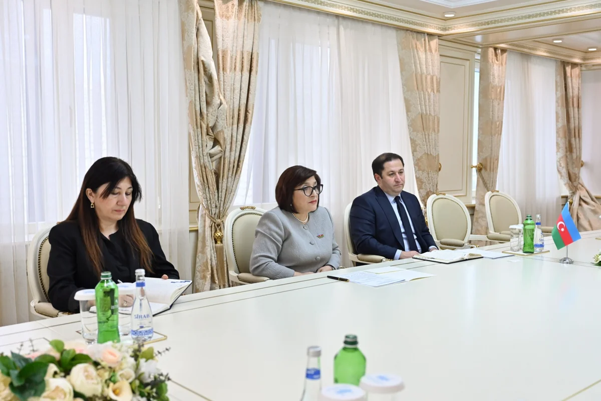 Milli Məclisin sədri Sahibə Qafarova Yunanıstanın ölkəmizdəki səfiri ilə görüşüb