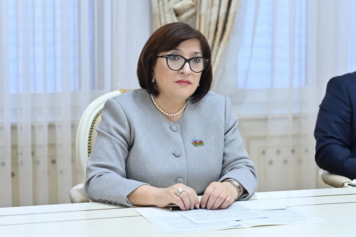 Milli Məclisin sədri Sahibə Qafarova Yunanıstanın ölkəmizdəki səfiri ilə görüşüb