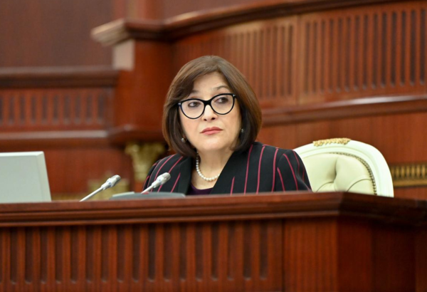 Avropa Parlamentinin Azərbaycanla bağlı qəbul etdiyi qətnamələr birtərəfli və qərəzli xarakter daşıyır – Sahibə Qafarova