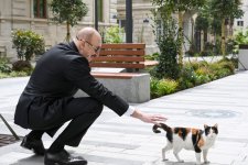 Prezident İlham Əliyev və Birinci xanım Mehriban Əliyeva Bakının İslam Səfərli küçəsinin yenidənqurmadan sonra açılışında iştirak ediblər (FOTO)