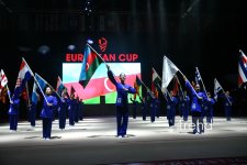 Bakıda bədii gimnastika üzrə Avropa kuboku start götürüb (FOTO)
