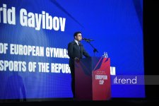 Bakıda bədii gimnastika üzrə Avropa kuboku start götürüb (FOTO)