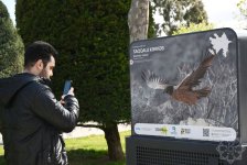 Bakıda “Azərbaycan təbiətinin izi ilə” adlı sərgi keçirilir (FOTO)