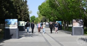Bakıda “Azərbaycan təbiətinin izi ilə” adlı sərgi keçirilir (FOTO)