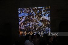 Beynəlxalq Xalça Festivalı çərçivəsində Bakıda unikal sərgilər açılıb (FOTO)