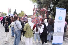 Bakıda Beynəlxalq Xalça Festivalı keçirilir (FOTO)