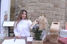 Bakıda Beynəlxalq Xalça Festivalı keçirilir (FOTO)