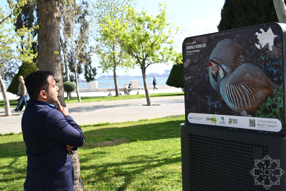 Bakıda “Azərbaycan təbiətinin izi ilə” adlı sərgi keçirilir (FOTO)