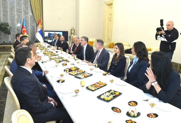 Belqrad-Bakı reysi regionlararası bağlantını daha da gücləndirəcək - Rəşad Nəbiyev