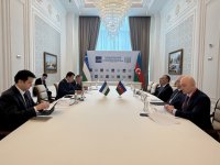 Azərbaycan AİB-nin Seçki Qrupunun iclasında iştirak edib (FOTO)