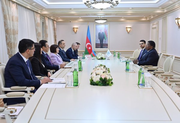 Milli Məclisin sədri Parlamentlərarası İttifaqın Baş katibi ilə görüşüb (FOTO)