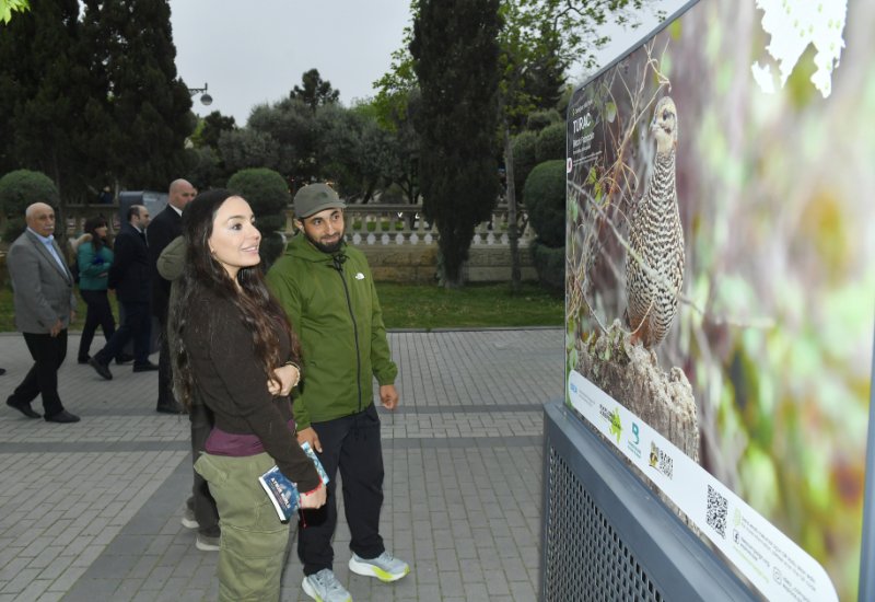 Leyla Əliyeva “Azərbaycan təbiətinin izi ilə” sərgisinin açılış mərasimində iştirak edib (FOTO)