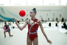 Bədii gimnastika üzrə Avropa kuboku başa çatıb (FOTO)
