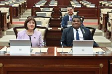 Milli Məclisin sədri Parlamentlərarası İttifaqın Baş katibi ilə görüşüb (FOTO)
