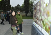 Leyla Əliyeva “Azərbaycan təbiətinin izi ilə” sərgisinin açılış mərasimində iştirak edib (FOTO)