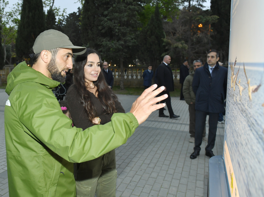 Leyla Əliyeva “Azərbaycan təbiətinin izi ilə” sərgisinin açılış mərasimində iştirak edib (FOTO)