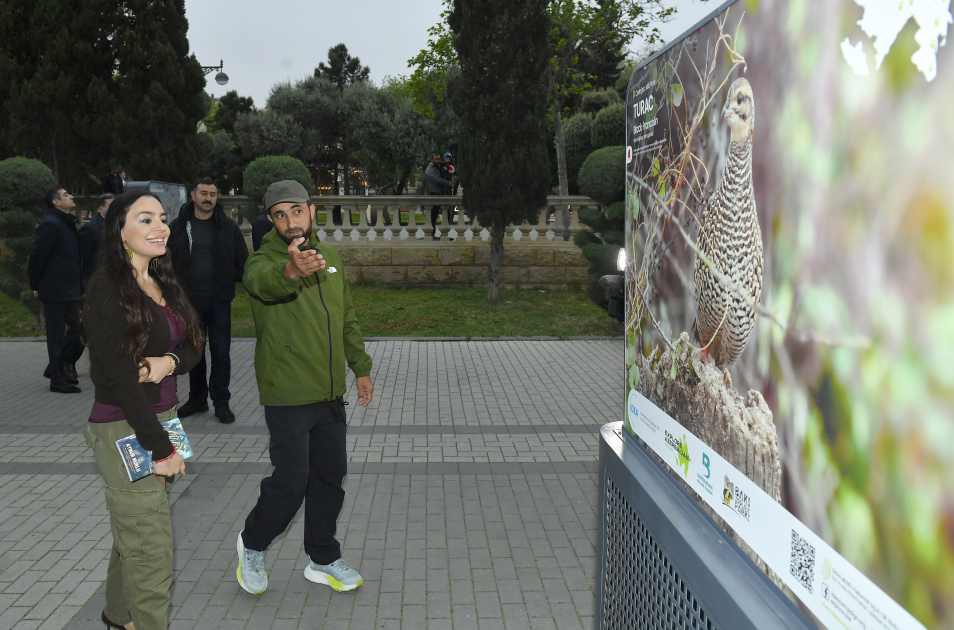Leyla Əliyeva “Azərbaycan təbiətinin izi ilə” sərgisinin açılış mərasimində iştirak edib (FOTO)