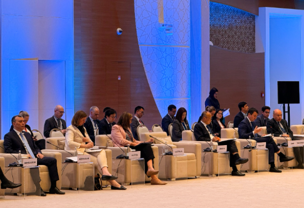 AİB-nin İllik Toplantısı çərçivəsində Azərbaycan nümayəndə heyəti işgüzar görüşlər keçirib