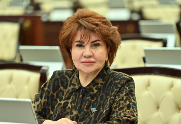 Azərbaycan ikili standartlara qarşı daim prinsipial mövqe sərgiləyir – RƏY