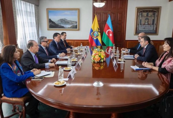 Azərbaycan və Ekvador arasında ilk siyasi məsləhətləşmələr keçirilib (FOTO)