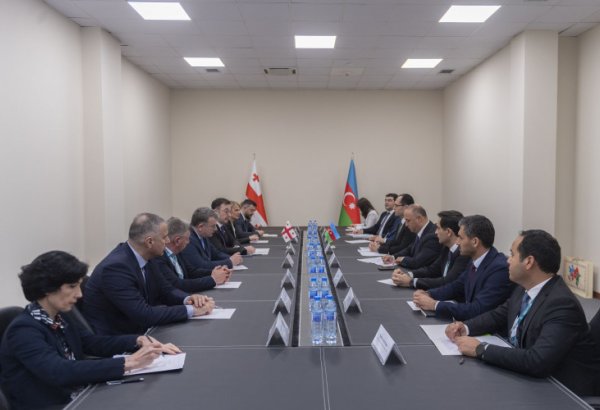 Azərbaycan və Gürcüstan arasında kənd təsərrüfatı əməkdaşlığı genişlənir