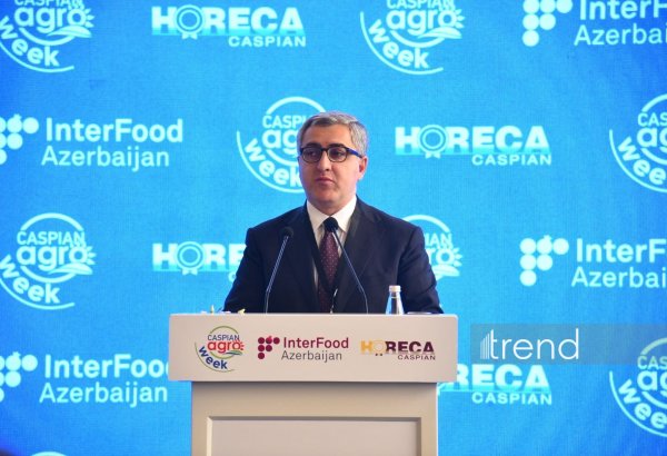 Cari ilin ilk rübündə qeyri-neft-qaz ixracının dəyəri illik müqayisədə 12% artıb - Yusif Abdullayev