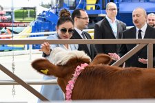 Prezident İlham Əliyev və Birinci xanım Mehriban Əliyeva 19-cu “Caspian Agro Week” və 31-ci “InterFood Azerbaijan” sərgiləri ilə tanış olublar (FOTO)