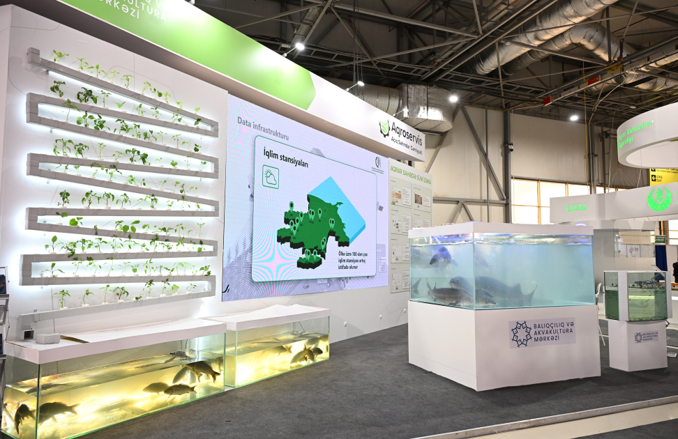 Prezident İlham Əliyev və Birinci xanım Mehriban Əliyeva 19-cu “Caspian Agro Week” və 31-ci “InterFood Azerbaijan” sərgiləri ilə tanış olublar (FOTO)