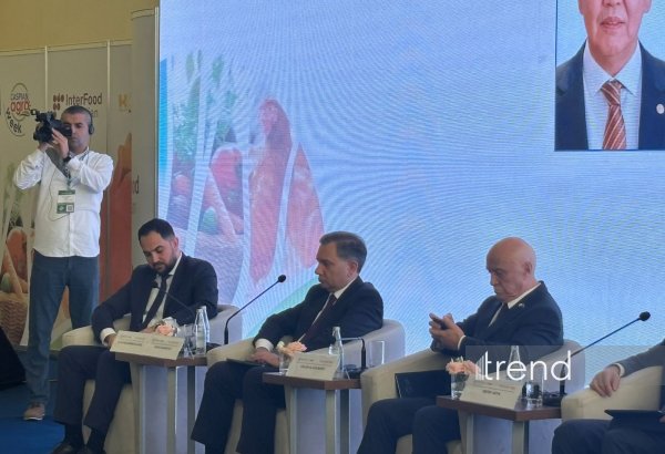 Bakı limanının ötürücülük qabiliyyətinin 25 milyon tona çatdırılması istiqamətində işlər aparılır