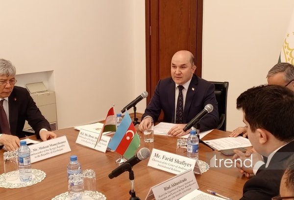 4-cü Yüksək Səviyyəli Beynəlxalq Konfransda 46 ölkədən nümayəndələr iştirak edəcək - Səfir