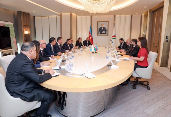 Azərbaycan və San-Marino energetika sahəsində əməkdaşlığı müzakirə ediblər