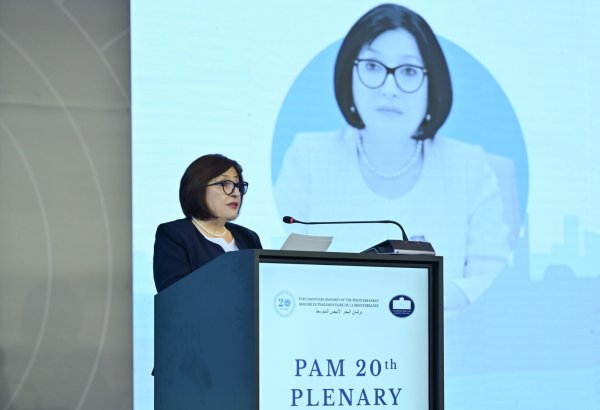 Azərbaycan regional və beynəlxalq enerji təhlükəsizliyinə töhfə verir - Sahibə Qafarova (FOTO)