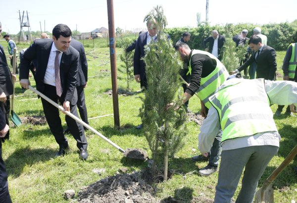 Xaçmazda Ümummilli Lider Heydər Əliyevin xatirəsinə həsr olunan ekoloji aksiya keçirilib (FOTO)
