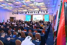Azərbaycan regional və beynəlxalq enerji təhlükəsizliyinə töhfə verir - Sahibə Qafarova (FOTO)
