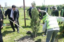 Xaçmazda Ümummilli Lider Heydər Əliyevin xatirəsinə həsr olunan ekoloji aksiya keçirilib (FOTO)