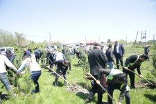 Xaçmazda Ümummilli Lider Heydər Əliyevin xatirəsinə həsr olunan ekoloji aksiya keçirilib (FOTO)