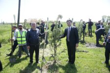 Xaçmazda Ümummilli Lider Heydər Əliyevin xatirəsinə həsr olunan ekoloji aksiya keçirilib (FOTO)