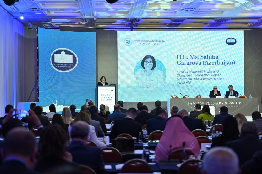 Azərbaycan regional və beynəlxalq enerji təhlükəsizliyinə töhfə verir - Sahibə Qafarova (FOTO)