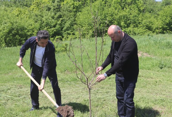 Xocalıda Heydər Əliyevin 103 illiyi münasibətilə ağacəkmə aksiyası keçirilib (FOTO)