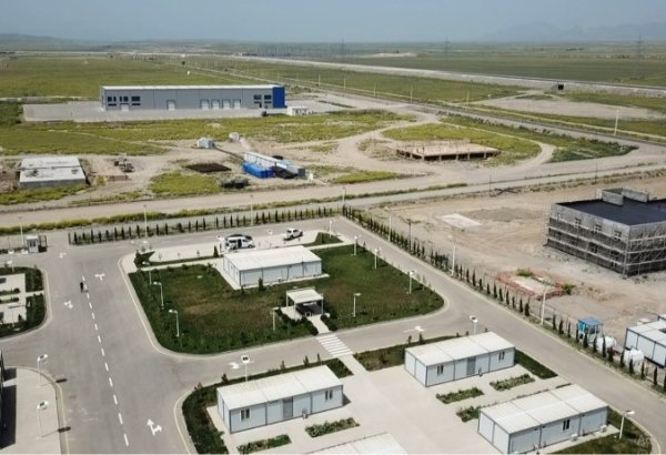 Azərbaycanda 47 milyon manatlıq tütün istehsalı layihəsi icra olunacaq
