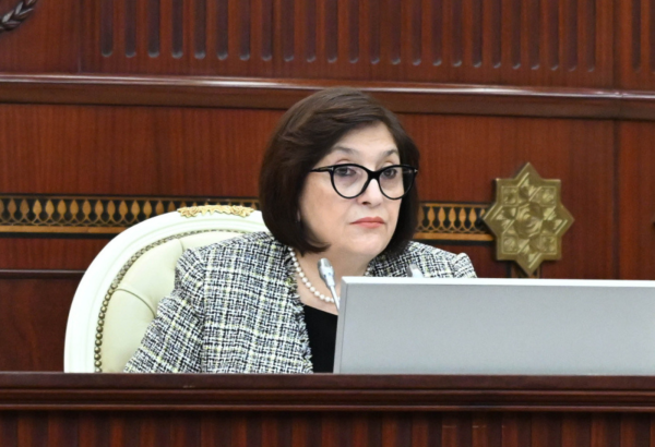 Ümummilli Lider Heydər Əliyevin rəhbərliyi ilə müasir milli dövlətçilik konsepsiyası formalaşdırılıb – Sahibə Qafarova